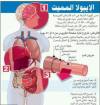 الأمم المتحدة: فيروس إيبولا ينتشر في الكونغو الديمقراطية
