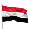 مصر و7 دول تدين أفعال بن غفير المروعة