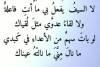 أنا والمتنبي